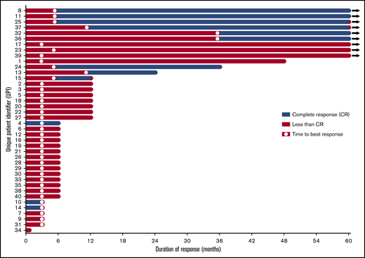 Duration of response and time to best response in all patients treated with alemtuzumab.