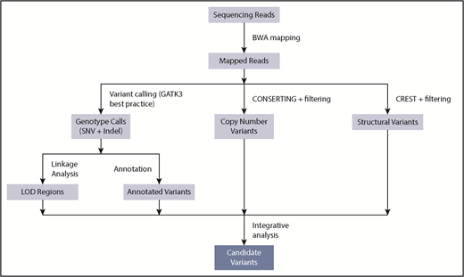 Figure 3. Workflow showing optimal practices for identification of germline variants predisposing to familial leukemia, incorporating analysis of soft-clipped reads. BWA, Burrows-Wheeler Aligner; LOD, logarithm of the odds.