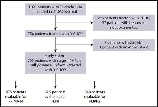 Figure 1. Flow diagram of patient selection.