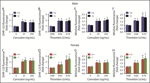 Figure 3. Mitochondrial ROS generation is not altered in Nox2-deficient mice. Washed platelets from male and female mice deficient in Nox2 (−/y or −/−) or WT littermates (+/y or +/+) were incubated with 10 µM of DHR1,2,3 (A-D) or MitoSox (E-H) for 25 minutes at 37°C, in the presence or absence of stimulation with convulxin or thrombin. Samples were analyzed by flow cytometry. Data are presented as mean ± standard error (n = 4 or 5 mice in each group). *P < .05 vs. WT (+/y or +/+) without convulxin/thrombin, $P < .05 vs. Nox2-deficient (−/y or −/−) without convulxin/thrombin, @P < .05 vs. WT (+/y or +/+) with convulxin (25 ng/mL)/thrombin (0.02 U/mL), #P < .05 vs. Nox2-deficient (−/y or −/−) with convulxin (25 ng/mL)/thrombin (0.02 U/mL), 2-way ANOVA with the Tukey test for multiple comparisons.
