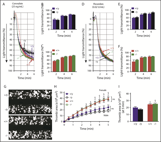 Figure 5. Platelet aggregation and accumulation/thrombi formation ex vivo are similar in WT and Nox2-deficient male or female mice. Washed platelets from male and female WT (+/y or +/+) or Nox2-deficient (−/y or −/−) mice were activated with 25 ng/mL convulxin (A-C) or 0.02 U/mL thrombin (D-F). Representative aggregation tracings for convulxin (A) and thrombin (D). Quantitative data for the percentage light transmission at different time points for convulxin in male (B) and female (C) mice and for thrombin in male (E) and female (F) mice. Washed platelets from male and female WT and Nox2-deficient mice were perfused over a collagen surface for 5 minutes in a microfluidic flow chamber at a shear rate of 2000/s. (G) Representative images of platelet accumulation after 5 minutes of perfusion for male and female mice. (H) The time course of accumulation of platelets/thrombi development was calculated as the surface area covered by platelets in a fixed field. (I) Total thrombi area after 5 minutes of perfusion was calculated as the average surface area covered by platelets in 5 representative fields. Data are presented as mean ± standard error (n = 5-7 mice in each group). Platelet aggregation data were analyzed using multiple Student t tests with Holm-Sidak test for comparison between the groups. Platelet accumulation over time was compared using 2-way ANOVA repeated measures, and total thrombi areas on collagen surface were analyzed by 1-way ANOVA, followed by the Tukey test for multiple comparisons. *P < .05 vs. +/y, $P< .01 vs. −/y.