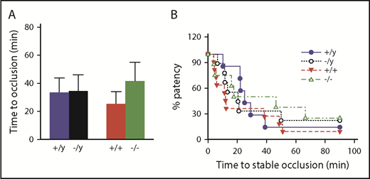 Figure 7. Deficiency in Nox2 does not influence susceptibility to carotid artery thrombosis in male or female mice. The time to stable occlusion of the carotid artery following photochemical injury was measured in male and female WT (+/y or +/+) or Nox2-deficient (−/y or −/−) mice. (A) Time to stable occlusion. (B) Percentage of mice with a patent carotid artery (free of stable occlusion) as a function of time after injury. Data are presented as mean ± standard error (n = 7-10 mice in each group). Data were analyzed using 2-way ANOVA with the Tukey test for multiple comparisons.