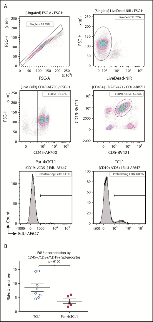 Figure 5. Par-4 overexpression in TCL1 mice hinders expansion of malignant clones. Expansion of malignant clones was quantified in vivo by EdU incorporation. (A) Representative flow plots and histograms showing EdU incorporation by single, live, CD45+CD19+CD5+ splenocytes from TCL1 and Par-4 × TCL1 mice. (B) Quantification of EdU-positive leukemic cells in TCL1 (n = 8) and Par-4 × TCL1 (n = 5) mice. Results were analyzed using a 2-sample Student t test for significance with α set to 0.05 (P = .0100). FSC-A, forward scatter area; FSC-H, forward scatter height.