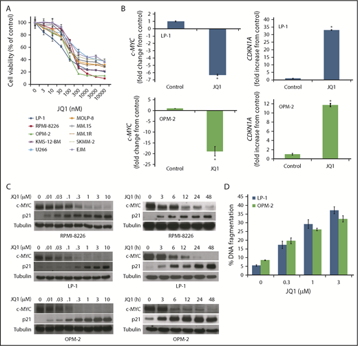 Figure 1. JQ1 reduces the cell viability of MM cells, modulates c-MYC and p21 expression, and induces apoptosis. (A) JQ1 decreases MM cell viability. A panel of MM cell lines was treated with the indicated concentrations of JQ1 for 72 hours. Cell viability was measured by MTT assay. (B) Quantitative RT-PCR (qRT-PCR) analysis of c-MYC and CDKN1A levels. MM cells were treated with 500 nM JQ1 for 24 hours, and gene expression was measured by qRT-PCR. (C) JQ1 treatment decreases c-MYC protein expression and induces p21. RPMI-8226, LP-1, and OPM-2 MM cells were treated with the indicated concentrations of JQ1 for 24 hours (left) or 500 nM JQ1 (right) for the indicated times. Protein expression was determined by immunoblotting. (D) JQ1 stimulates apoptosis in MM cell lines. LP-1 and OPM-2 MM cells were treated with the indicated concentrations of JQ1 for 48 hours. Apoptosis was determined by propidium iodide fluorescence-activated cell sorting (PI-FACS) analysis. Data are shown as mean ± standard deviation (SD); n = 3. *Indicates a significant difference from controls. P < .05.
