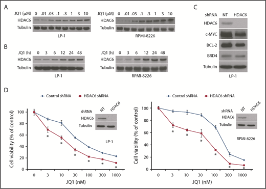 Figure 3. BET inhibition–mediated upregulation of HDAC6 expression limits its efficacy against MM cells. (A) JQ1 treatment increases HDAC6 protein expression. LP-1 and RPMI-8226 MM cells were treated with the indicated concentrations of JQ1 for 24 hours. Protein expression was determined by immunoblotting. (B) JQ1 increases HDAC6 expression in a time-dependent manner. LP-1 and RPMI-8226 MM cells were treated with 500 nM JQ1 for the indicated times. Protein expression was determined by immunoblotting. (C) Silencing HDAC6 decreases c-MYC and BCL-2 expression. LP-1 cells were infected with nontarget (NT) control or HDAC6 lentiviral shRNA, and positively infected cells were selected with puromycin. Immunoblotting confirmed knockdown of HDAC6 and decreased levels of c-MYC and BCL-2. (D) Knockdown of HDAC6 augments the antimyeloma activity of JQ1. LP-1 and RPMI-8226 MM cells were infected with NT control or HDAC6 lentiviral shRNA. Cells transfected with NT control or HDAC6 shRNA were treated with the indicated concentrations of JQ1 for 72 hours, and cell viability was determined by MTT assay. Data are shown as mean ± SD; n = 3. *Indicates a significant difference compared with NT transfected cells treated with the same concentration. P < .05.