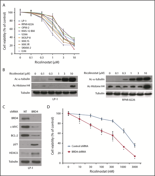 Figure 4. Ricolinostat displays antimyeloma activity and its efficacy is enhanced by knockdown of BRD4. (A) Ricolinostat decreases MM cell viability. A panel of MM cell lines was treated with the indicated concentrations of ricolinostat for 72 hours. Cell viability was measured by MTT assay. (B) Ricolinostat promotes the accumulation of acetylated (Ac) α-tubulin. MM cells were treated with the indicated concentrations of ricolinostat for 24 hours. Protein expression was measured by immunoblotting. (C) Silencing BRD4 decreases c-MYC and BCL-2 expression and induces p21 and HDAC6 levels. BRD4 was knocked down by using lentiviral shRNA, and positively infected cells were selected with puromycin. Immunoblotting confirmed knockdown of BRD4 and levels of c-MYC, BCL-2, p21, and HDAC6. (D) Silencing of BRD4 enhances the antimyeloma activity of ricolinostat. Cells transfected with NT control or BRD4 shRNA were treated with the indicated concentrations of ricolinostat for 72 hours, and cell viability was determined by MTT assay. Data are shown as mean ± SD; n = 3. *Indicates a significant difference compared with NT shRNA transfected cells treated with the same concentration. P < .05.
