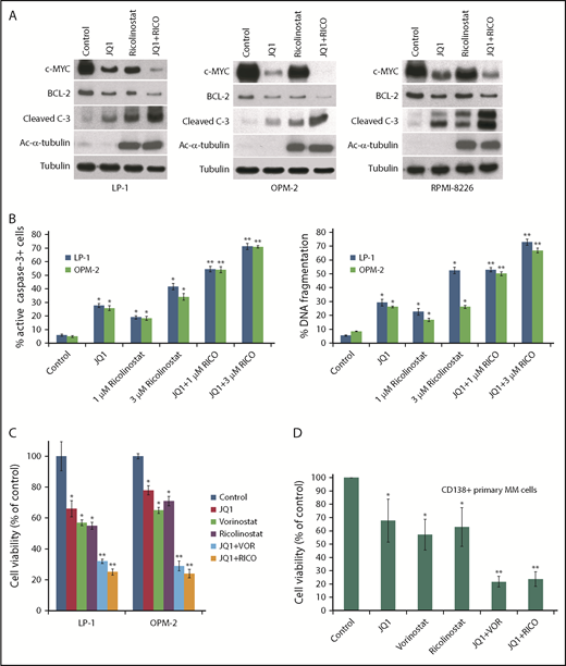 Figure 5. Ricolinostat augments the in vitro antimyeloma activity of JQ1 in MM models. (A) Ricolinostat (RICO) enhances the ability of JQ1 to decrease c-MYC and BCL-2 expression, resulting in increased caspase-3 cleavage. MM cells were treated with 500 nM JQ1, 3 μM ricolinostat, or combinations for 24 hours. c-MYC, BCL-2, cleaved caspase-3, and acetylated α-tubulin levels were determined by immunoblotting. (B) Ricolinostat augments the proapoptotic effects of JQ1. LP-1 and OPM-2 MM cells were treated with 500 nM JQ1, 1 or 3 μM ricolinostat, or combinations for 48 hours. Apoptosis was determined by active caspase-3 or PI-FACS analysis. (C-D) Ricolinostat and vorinostat (VOR) enhance the anticancer activity of JQ1 in MM cell lines and primary CD138+ cells collected from patients with MM (n = 10). Cells were treated with 500 nM JQ1, 1 μM vorinostat, 3 μM ricolinostat, or combinations for 72 hours. Cell viability was determined by MTT assay. Data are shown as mean ± SD; n = 3. *Indicates a significant difference from control; **indicates single-agent treatment groups.