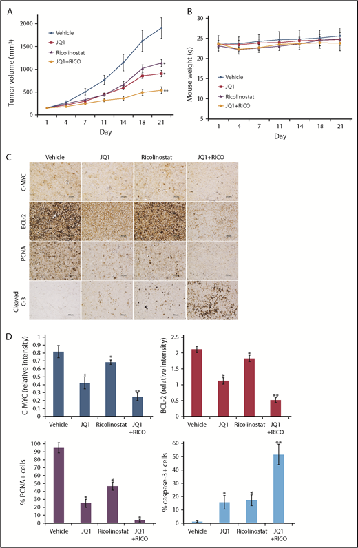 Figure 6. Ricolinostat enhances the in vivo antimyeloma activity of JQ1. (A) Ricolinostat enhances the antimyeloma activity of JQ1 in vivo. RPMI-8226 tumors were established in nude mice. Mice were treated with 50 mg/kg JQ1, 50 mg/kg ricolinostat, or the combination of both agents once per day for 5 days per week for 3 weeks. Tumor volume was measured twice per week. Data are shown as mean ± standard error of the mean; n = 10. (B) JQ1 and ricolinostat are well tolerated in mice. RPMI-8226 tumors were established in nude mice, and mice were treated as described above. Mouse body weight was measured twice per week. Data are shown as mean ± SD; n = 10. No significant weight loss was observed in any of the treatment groups compared with vehicle control. (C) Tumors were collected at the end of study, and levels of c-MYC, BCL-2, PCNA, and cleaved caspase-3 were measured by immunohistochemistry. Scale bars, 50 μm. (D) Immunohistochemical analysis shows that administration of JQ1 and ricolinostat effectively reduces c-MYC and BCL-2 expression, decreases PCNA+ cells, and induces significant caspase-3+ cells. Quantification of immunohistochemical analysis of c-MYC and BCL-2 was determined by densitometry (relative expression). PCNA and active caspase-3–positive cells were determined by manual counting. Data are shown as mean ± SD; n = 5 random fields. *Indicates a significant difference compared with vehicle; **indicates either single-agent treatment. P < .05.