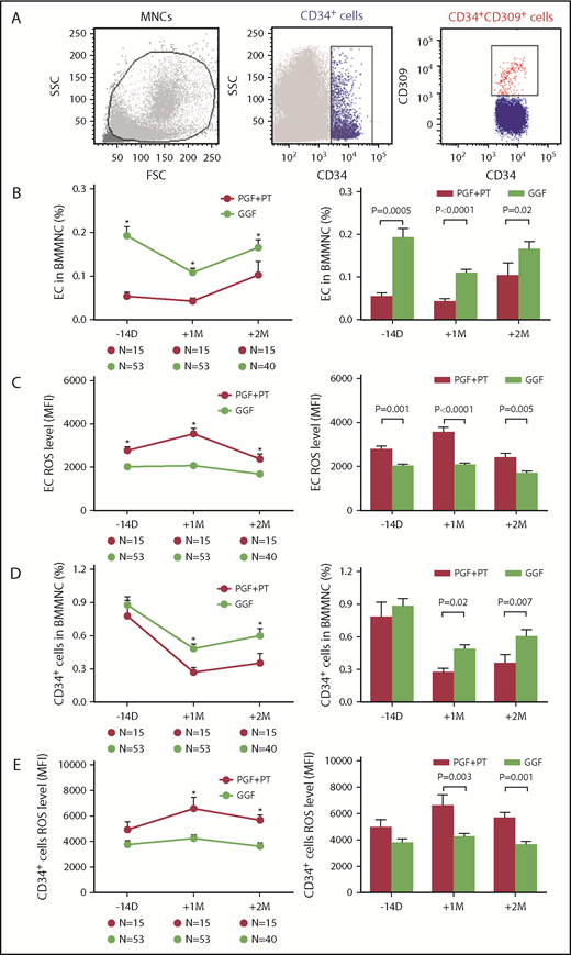 Figure 1. PGF and PT patients demonstrated defective BM ECs pre-HSCT and impaired dynamic reconstitution of BM ECs and CD34+ cells at early time points post-HSCT. Dynamic reconstitution (left panel) and statistical analysis (right panel) of BM in the first clinical trial. Representative image of ECs demonstrated by flow cytometry (A), EC percentages (B), EC ROS levels (C), CD34+ cell percentages (D), and CD34+ cell ROS levels (E) analyzed by flow cytometry in PGF, PT, and GGF patients at −14 days pre-HSCT and +1 month and +2 months post-HSCT. The data are expressed as the mean and standard error of the mean (SEM). Statistical analyses were performed using 1-way ANOVA for comparisons among the groups. Subject variables were compared using the χ2 test for categorical variables and the Mann-Whitney U test for continuous variables. P < .05 was considered statistically significant and is provided in the figure. *P < .05. FSC, forward scatter; MFI, mean fluorescence intensity; MNC, mononuclear cell; SSC, side scatter.