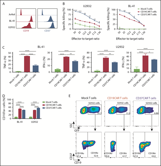 Figure 4. CD37CAR T cells exhibit enhanced effector functions, including specific killing of CD19− U2932 cells. (A) A representative analysis of CD19 and CD37 expression in Jurkat, BL-41, and U2932 cells by flow cytometry. (B) Specific killing mediated by CD19CAR or CD37CAR T cells against BL-41 and U2932 cells after 7 hours of coculture at the indicated E:T ratios. Data represent mean ± standard deviation of triplicates. Data from 1 of 2 experiments are shown. (C) Detection of intracellular cytokine production in CD19CAR or CD37CAR T cells after coincubation with target cells BL-41 or U2932 for 24 hours at an E:T ratio of 1:2. Data from 1 of 2 experiments are shown. Data represent mean ± standard deviation of quadruplicates. (D) Detection of degranulation in CD19CAR or CD37CAR T cells after coincubation with target cells BL-41 or U2932 for 6 hours at an E:T ratio of 1:2. Data from 1 of 2 experiments are shown. Data represent mean ± standard deviation of quadruplicates. (E) Flow cytometric analysis of CD19 and CD37 on the surface of GFP+ U2932 cells 5 hours after coculture with mock T cells, CD19CAR T cells, or CD37CAR T cells at an E:T ratio of 10:1. *P < .05, **P < .01, ***P < .001, ****P < .0001, Student t test with Bonferroni correction.