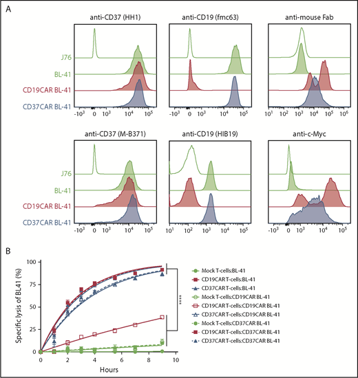 Figure 6. CD37CAR expression in BL-41 does not mask CD37. (A) Flow cytometric analysis of BL-41 cells transduced with CD19CAR or CD37CAR. Expression of CD19 and CD37 was detected by commercial antibody clones or by the corresponding antibody clones from which the CAR constructs were derived. The expression of CARs was also validated by anti-mouse Fab and anti–c-Myc antibodies. Data from 1 of 2 experiments are shown. (B) BLI-based measurement of cytotoxicity mediated by mock T cells, CD19CAR T cells, or CD37CAR T cells when cocultured at an E:T ratio of 10:1 with target cells BL-41, BL-41 CD19CAR, or BL-41 CD37CAR. Lysis was analyzed after 1, 2, 3, 4.5, 7, and 9 hours of coculture. Data represent mean ± standard deviation of quadruplicates. Representative data from 1 of 3 experiments are shown. ****P < .0001, Student t test with Bonferroni correction between effector condition and its respective negative control.