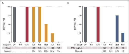 Figure 3. Survival after line h38 platelets or pFVIII-expressing iMKs and rFVIIa infusion in the tail-clip exsanguination assay. (A-B) Tail-clip exsanguination assay with expiration assessed 16 hours post–tail clip. In both panels, on the left, WT, FVIIInull, and line h38 mice underwent tail-clip exsanguination. Percentage of animals surviving of 5 animals per arm is shown. Dashed gray line is 100% survival. (A) On the right, FVIIInull mice were infused to ∼15% line h38 platelets and then underwent tail-clip exsanguination at 1 to 72 hours postinfusion. (B) On the right, mice were infused with 0.25, 1, and 4 mg/kg of rFVIIa retroorbitally 15 minutes before tail resection; additional mice were studied at 4 mg/kg of rFVIIa 1.5 hours postinfusion.