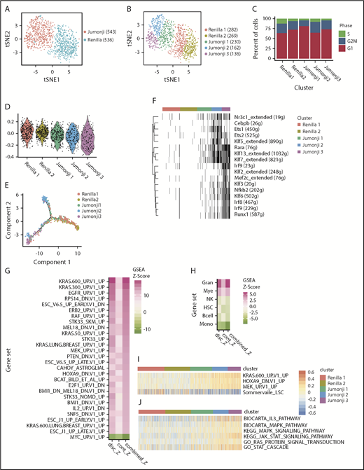 Figure 4. Single-cell transcriptome analysis of JMJD1C Jumonji domain–mutated MLL-AF9 leukemia cells. (A-B) T-distributed stochastic neighbor embedding plot of single-cell gene-expression data of mouse MLL-AF9-Cas9 leukemia cells 7 days after transduction with sgRNA against Renilla or JMJD1C JmjC domain (Jumonji). (A) Cell phenotype. (B) Cell clusters identified within phenotypes. The numbers of cells are indicated in parenthesis. (C) Cyclone cell cycle status. (D) Expression level of Somerville LSC34 signature. (E) Monocle single-cell trajectory analysis. (F) SCENIC regulon analysis. Black bars indicate that a regulon is activated within a cell, across all clusters identified in panel B. (G-H) Decomposed Z score of MAST analysis on C6 oncogenic signature from the Molecular Signature Database (all Renilla cells vs all Jumonji cells). (G) Pink: enrichment in Jumonji; green: enrichment in Renilla sample, and hematopoietic fingerprint gene sets (Jumonji 2 cells vs Jumonji 3 cells). (H) Pink: enrichment in Jumonji 2; green: enrichment in Jumonji 3. GSVA analysis of top KRAS pathway (I; identified in panel G) and RAS/MAPK and JAK-STAT pathways (J). P < .01 for all pairwise comparisons in panel D, with the exception of Renilla 1 vs Renilla 2 (not significant), unpaired 2-tailed Student t test with Bonferroni correction. Gran, granulocytes; Mye, myeloid; Mono, monocytes; NK, natural killer cells.