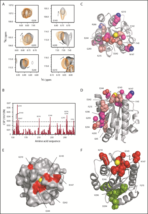 Figure 1. Mapping the Mac-1 I-domain binding site with GP1bαN by NMR. (A) Selected peaks showing CSP effects between bound and unbound (the first panel for G228 is shown as a control, in which no perturbation is observed). (B) Representation of CSP effects, with dashed lines showing statistically significant perturbation (lower line, mean CSP +1 SD; upper line, mean CSP +2 SD) residues above the latter. (C) CSP effects mapped to the Mac-1 surface with residues in darker pink corresponding to mean +2 SD, top-down view onto the MIDAS (Mg2+ shown in yellow). (D) Side view showing distal CSP effects removed from the MIDAS site (top). (E) Surface representation showing the binding patch around the MIDAS with key residues in red. (F) Differentiation between the MIDAS binding patch, shown in red, and those distal residues (in green) affected through allosteric changes from binding GP1bαN at the MIDAS site (a few key residues are highlighted).