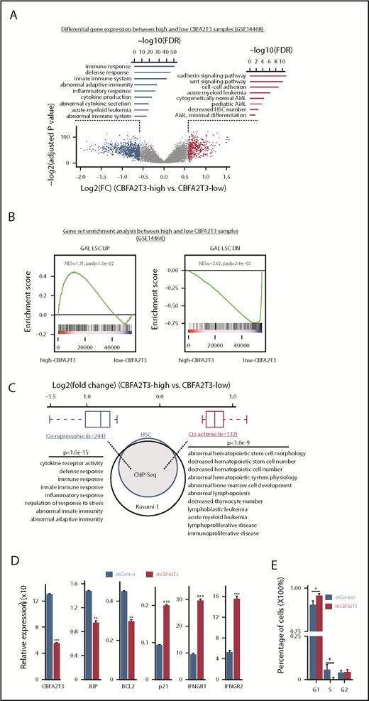 Figure 1. CBFA2T3 marks LSC gene signatures and opposingly regulates HSC/LSC and antiproliferative genes. (A) Volcano plot of gene expression changes (fold changes ≥1.5, adjusted P ≤ .05) in high-CBFA2T3 vs low-CBFA2T3 patient samples in the GSE14468 dataset. High and low CBFA2T3 expression is relative to the median level in all patient samples (n = 526). Also shown are Gene Ontology functions of the downregulated (left, blue) and upregulated (right, red) genes. (B) GSEA showing association of HSC/LSC gene signatures with high-level CBFA2T3 expression in the patient samples. NES, normalized enrichment score. The colored bar at the bottom shows ranked gene expression based on fold changes and P value. Red indicates upregulation in high-CBFA2T3 samples, whereas blue indicates downregulation in high-CBFA2T3 samples. (C) A Venn diagram showing overlap of CBFA2T3-occupied genes in HSCs and Kasumi-1 cells. Also shown are log2 fold changes of CBFA2T3 cis-repressome genes (blue) and cis-actome genes (red) and the biological functions of the CBFA2T3-binding sites at these genes identified by GREAT.58 (D) RT-qPCR showing effects of CBFA2T3 knockdown on messenger RNA expression of the indicated genes in human HSPCs. (E) Cell cycle phase quantification modeled from propidium iodide–stained DNA content histograms. Error bars represent the 95% confidence interval, calculated by bootstrap resampling of the original events. P values were calculated by permutation tests (n = 1000).