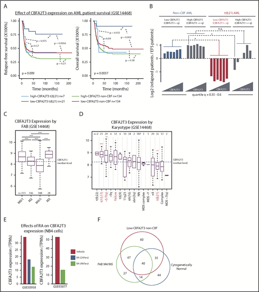 Figure 2. Low-CBFA2T3 expression predicts favorable prognosis in t(8;21) AML but not non-CBF AML. (A) Kaplan-Meier analyses of relapse-free and overall survival of t(8;21) and non-CBF patients expressing high and low CBFA2T3 (GSE14468). The P value shown at the left bottom corner is derived from comparison of all sample groups (log-rank test). (B) Relapse potentials of t(8;21) and non-CBF AML patients expressing CBFA2T3 below or above different quantile levels shown at the bottom (GSE14468). For each quantile, the y-axis denotes log2 ratios of relapsed vs event-free survival (EFS) patients expressing CBFA2T3 below or above the quantile level measured independently for t(8;21) and non-CBF AML patients. P values were derived from the hypergeometric test. (C-D) Levels of CBFA2T3 expression among different AML FAB subtypes (C) and karyotypes (D). In panel D, the P values were calculated between patients with and without each of given karyotypes. (E) CBFA2T3 expression levels in PML-RARα–expressing NB4 cells treated with dimethyl sulfoxide or ATRA (RA). (F) Venn diagram showing overlap of FAB M4/M5, low-CBFA2T3 non-CBF, and cytogenetically normal AML subtypes (GSE14468). *P < .05; **P < .01; ***P < .001. n.s., not significant.