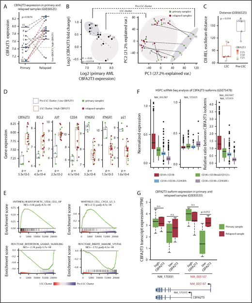 Figure 3. CBFA2T3 expression is rapidly induced during relapse of low-CBFA2T3 non-CBF AML patients. (A) Comparison of CBFA2T3 expression levels in matched primary and relapsed samples from 11 cytogenetically normal non-CBF AML patients (GSE66525). (B, left) Scatter plot showing inverse correlation between CBFA2T3 expression changes and its expression levels in primary samples. (B, right) Principal component analysis identified 2 sample clusters, one of which (“Pre-LSC”) comprised all low-CBFA2T3 patients at diagnosis. Green dots denote samples from diagnosis, and red dots denote relapsed samples, with dashed lines defining the 2 samples from a single individual. (C) To quantify the total “change” between each patient’s diagnosis and relapse sample, we calculated the patient-specific Euclidean distance between diagnosis (Dx) and relapsed (Rel) samples using all genes. The Wilcoxon rank sum test showed a significant difference between LSC and pre-LSC groups. The points corresponding to each patient are colored by their CBFA2T3 expression at diagnosis. (D) Expression levels of genes indicated at the top in primary and relapsed samples within the low-CBFA2T3 pre-LSC and high-CBFA2T3 LSC sample clusters. (E) GSEA results showing enriched expression of HSC/LSC and cell cycle genes and depleted expression of IFN-γ and innate immune genes in LSC cluster vs pre-LSC cluster. NES, normalized enrichment score. (F) Comparison of expression levels of NM_005187 and NM_175931 CBFA2T3 transcripts in a single-cell RNA-Seq (scRNA-Seq) dataset profiling human HSPCs expressing different cell surface markers. (G) Comparison of expression changes of NM_005187 and NM_175931 CBFA2T3 transcripts in primary and relapsed AML samples in the GSE83533 dataset.
