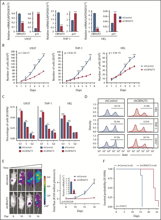 Figure 4. Effects of CBFA2T3 knockdown on p21 gene expression and the biological activities of non-t(8;21) AML cells. (A) CBFA2T3 RT-qPCR analyses showing effects of CBFA2T3 knockdown on p21 messenger RNA (mRNA) levels in the indicated AML cells. (B) Effects of CBFA2T3 knockdown on cell growth of the indicated AML cells. Cells were counted daily starting at 4 days after lentiviral transduction. (C) Flow cytometric, cell cycle quantification of control, and CBFA2T3-knockdown AML cells stained with propidium iodide. Error bars represent the standard error of 3 independent biological replicates. (D) BrdU incorporation and flow cytometry was used to independently confirm the G1/S block observed with propidium iodide staining. (E) Representative bioluminescence images (left, images are of the highest-signal mouse from each group) and average luminescence intensity (right) of control and CBFA2T3-depleted U937 cell-engrafted NSG mice over a period of 16 days. 1 × 106 cells were transplanted into NSG mice 5 hours after radiograph radiation (2.25 Gy). (F) Survival of the control and CBFA2T3-depleted U937 cell-engrafted NSG mice described in panel E. *P < .05; **P < .01; ***P < .001. GAPDH, glyceraldehyde-3-phosphate dehydrogenase.