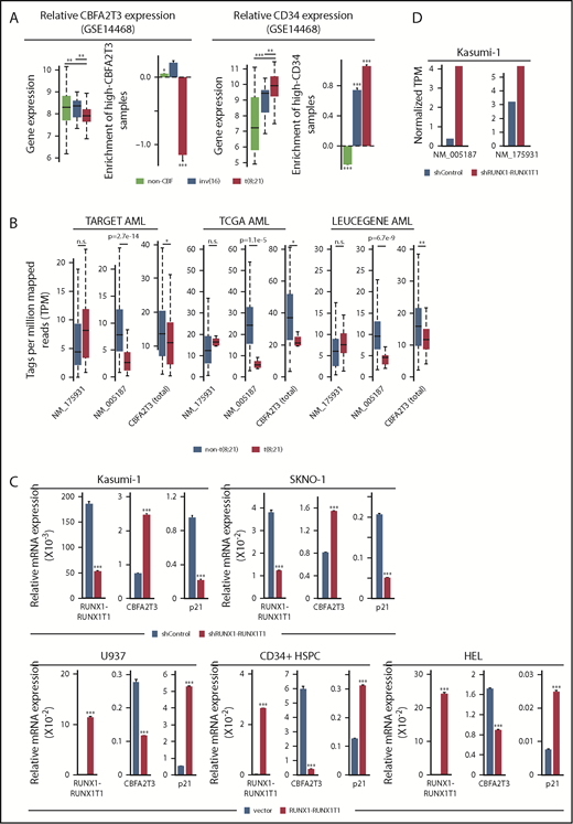Figure 5. RUNX1-RUNX1T1 represses CBFA2T3 gene transcription. (A) Expression levels of CBFA2T3 (left) and CD34 (right) and relative enrichment (log2 transformed) of patients with AML expressing high CBFA2T3 (left) and high CD34 (right) within each of the indicated AML subtypes. High and low expression are relative to the median expression level in all patient samples (n = 526). (B) Expression levels of NM_005187, NM_175931, and total CBFA2T3 in t(8;21) and non-t(8;21) AML patients in AML datasets indicated at the top. Raw data were downloaded from NIH dbGaP (TARGET, TCGA) and SRA (LEUCEGENE) repositories. The Gene Expression Omnibus repository accession numbers for LEUCEGENE are GSE49642, GSE52656, GSE62190, GSE66917, and GSE67039. (C) RT-qPCR results showing effects of RUNX1-RUNX1T1 knockdown in Kasumi-1 and SKNO-1 cells and overexpression of RUNX1-RUNX1T1 in U937 cells, HSPCs, and HEL cells on CBFA2T3 expression. (D) Effect of RUNX1-RUNX1T1 knockdown on NM_005187 and NM_175931 levels in Kasumi-1 cells assayed by using RNA-Seq. *P < .05; **P < .01; ***P < .001.
