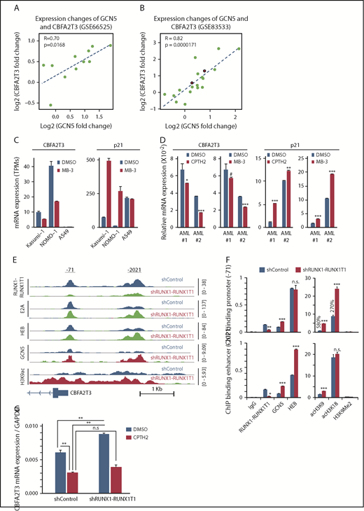 Figure 6. RUNX1-RUNX1T1 and GCN5 opposingly regulate CBFA2T3 transcription. Scatter plot showing fold changes of CBFA2T3 and GCN5 between primary and relapsed samples in both GSE66525 (A) and GSE83533 (B) patient cohorts. The red-colored dots in panel B denote 2 inv(16) patients. (C) Gene expression of CBFA2T3 and p21 in Kasumi-1, NOMO-1, and A549 cells treated with GCN5 inhibitor MB-3 vs dimethyl sulfoxide (DMSO). Results were analyzed from a public ERP003933 dataset.51 (D) RT-qPCR results showing the effects of CPTH2 and MB-3 treatment on CBFA2T3 and p21 expression in 2 primary AML patient samples. (E) ChIP-Seq intensities of RUNX1-RUNX1T1, HEB, E2A, GCN5, and acetyl-H3K9 at CBFA2T3 promoter sites in control (shControl) and RUNX1-RUNX1T1-depleted (shRUNX1-RUNX1T1) Kasumi-1 cells. (F) ChIP-qPCR quantification of the binding of the indicated proteins to −71 and −2021 CBFA2T3 regulatory loci in shControl and shRUNX1-RUNX1T1-treated Kasumi-1 cells. (G) RT-qPCR results of CBFA2T3 levels in control and RUNX1-RUNX1T1-knockdown Kasumi-1 cells with and without CPTH2 treatment. #P < .1, *P < .05, **P < .01; ***P < .001.