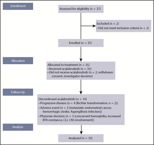 Figure 1. Patient flow through the study. CNS, central nervous system.