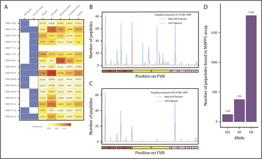 Figure 1. Identification of FVIII peptides on MoDCs obtained from HA patients and healthy blood donors using the MAPPs assay. (A) HLAcII-DRB1 alleles of subjects used in this study. The blue shading shows whether a particular allele was found in HA patients or healthy donors. Frequencies of each allele in various demographic groups are listed and identified on a scale from white (0) to red (15%). (B-C) Peptides identified in the MAPPs assay on DRB1-based DR molecules when MoDCs were incubated with FL-rFVIII plus pdVWF (B) or pdFVIII plus pdVWF (C). The peptides identified in cells from HA patients are shown in red; peptides identified in healthy donors are shown in blue. (D) Number of FVIII peptides identified on DR, DP, and DQ molecules in the MAPPs assay when APCs were incubated with FL-rFVIII plus pdVWF.