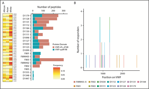 Figure 5. VWF peptides identified in a MAPPs assay and effect of co-incubation with different FVIII products. (A) For each donor, number of VWF peptides identified in the MAPPs assay is shown by the bars; pdVWF was coincubated with either FL-rFVIII (red) or pdFVIII (blue). Left panel, The MHC-II-DRB1 alleles for each donor and their respective frequencies in African, Asian, and white populations. (B) Location of the VWF peptides identified in the MAPPs assay shown on the VWF primary sequence (x-axis). At each location, the subjects are identified by the color codes.