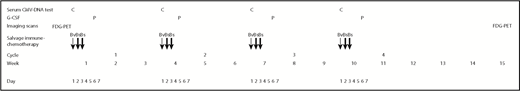 Figure 1. Bv+Bs regimen schedule. Bv, at 1.8 mg/kg IV on day 1 of the 3-week cycle; Bs, at 120 mg/m2 IV on days 2 and 3 of the 3-week cycle; P, peg-filgrastim 6 mg subcutaneous on day 6 of the 3-week cycle; FDG-PET, at baseline and 5 weeks after salvage treatment completion; C, serum CMV-DNA monitoring on day 1 of the 3-week cycle. Moreover, as support prophylactic treatment: methylprednisolone at 200 mg IV on days 1 to 3 of the 3-week cycle, diphenhydramine at 50 mg IV on days 1 to 3 of the 3-week cycle, febuxostat at 80 mg orally on days 1 to 5 of the 3-week cycle (plus hyperhydration); trimethropin-sulfamethoxazole at 960 (160 + 800) mg orally every 12 hours 2 times a week and acyclovir at 800 mg orally daily from the start of Bv+Bs regimen until 1 month after the last cycle. Clinical visits were performed on days 1 to 3 of the 3-week cycle. Routine laboratory tests were performed every 2 weeks.