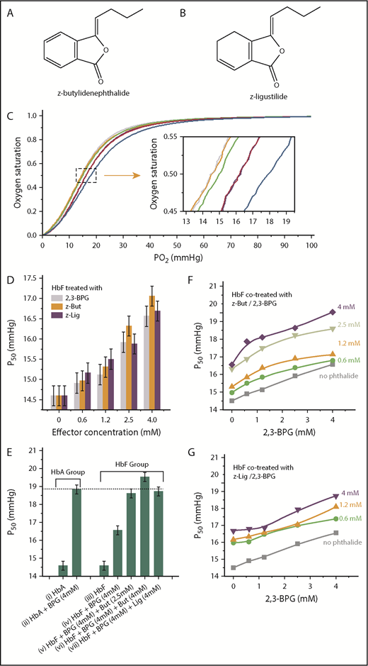 Figure 1. Phthalides are more potent modulators than 2,3-BPG in lowering oxygen affinity of HbF. (A) Molecular structure of z-butylidenephthalide (z-But). (B) Molecular structure of z-ligustilide (z-Lig). (C) OEC curves of purified HbF (orange), purified HbA (gray), HbF treated with 0.6 mM 2,3-BPG (green), HbA treated with 0.6 mM 2,3-BPG (purple), HbF treated with 0.6 mM z-butylidenephthalide (pink), and HbF treated with 4.0 mM z-butylidenephthalide (blue). (C) Inset shows an enlarged view of the area specified by gray dashed lines. (D) P50 values for HbF treated with 2,3-BPG (gray columns), z-butylidenephthalide (orange columns) and z-ligustilide (purple columns) at varying levels of treatment ranging between 0.6 and 4.0 mM. (E) A comparison of P50 for pure HbA (i), HbA treated with 4 mM 2,3-BPG (ii), pure HbF (iii), HbF treated solely with 4 mM 2,3-BPG (iv), and HbF cotreated with 4 mM 2,3-BPG and 2.5 to 4 mM phthalides (v-vii), which explicitly show that additional phthalide treatments can help raise the P50 for HbF to a level similar to that of P50 for HbA treated solely with the same level of 2,3-BPG. (F) P50 evolution for HbF treated with 2,3-BPG only (gray curve) and cotreated with z-butylidenephthalide at 0.6 mM (green curve), 1.2 mM (orange curve), 2.5 mM (lime green curve), and 4.0 mM (purple curve), along with varying levels of 2,3-BPG. (G) P50 evolution for HbF treated with 2,3-BPG only (gray curve), and cotreated with z-ligustilide of 0.6 mM (green curve), 1.2 mM (orange curve), and 4.0 mM (purple curve) along with varying levels of 2,3-BPG.