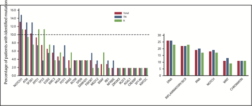 Figure 1. Gene mutation distribution according to treatment arm. No difference in the frequency of gene mutations and mutated pathway groups before initiation of the study treatment was observed when comparing TN patients vs R patients. NOTCH signaling pathway: NOTCH1, SPEN, FBXW7; inflammatory/B-cell receptor pathway: BIRC3, EGR2, NFKBIE, KRAS, SAMHD1, BRAF; WNT signaling pathway: MGA, MED12, FBXW7; DNA damage and cell cycle control pathway: TP53, ATM, POT1, BRCC3, RB1; chromatin modification pathway: ZMYM3, IKZF3, ASXL1, CREBBP, SP140, KM2TC; and RNA and ribosomal processing pathway: SF3B1, XPO1.