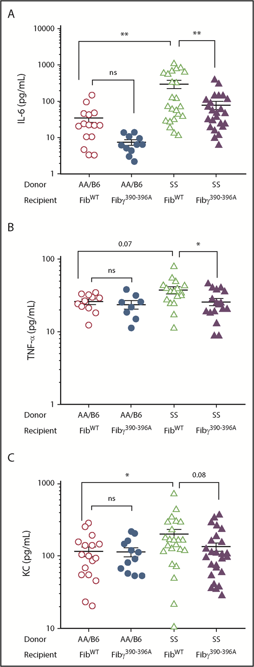 Figure 2. Proinflammatory cytokines/chemokines are reduced in Fibγ390-396A SS mice compared with the FibWT SS mice. One year post-BMT, blood samples were collected from the experimental mice. Platelet-poor plasma samples were used for cytokine profiling by Luminex assay. (A) IL-6. (B) TNF-α. (C) KC. Similar number of fully chimeric male and female mice were used in the experimental groups. Each symbol in the graph represents an individual mouse. FibWT AA/B6 (n = 11-15), Fibγ390-396A AA/B6 (n = 8-12), FibWT SS (n = 17-22), and Fibγ390-396A SS (n = 17-22). The bars in the graph indicate the mean ± SEM. Statistical significance was determined using 1-way ANOVA followed by the Tukey's multiple comparison test; statistical significance is indicated as **P ≤ .01, *P ≤ .05.