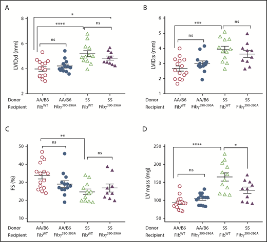 Figure 3. Comparison of LV dimensions, systolic function, and mass. (A-B) LVID;d and LVID;s, respectively. (C) LV FS. (D) Echocardiographically derived LV mass is reduced in Fibγ390-396A SS compared with the FibWT SS mice. Echocardiograms were performed on mixed-sex chimeric mice 12 months after BMT. Data are presented as mean ± SEM. Statistical significance was determined using 1-way ANOVA followed by the Tukey's multiple comparison test; statistical significance is indicated as *P ≤ .05, **P ≤ .01, ***P ≤ .001, ****P ≤ .0001.