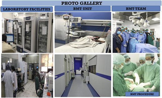 A glimpse of the BMT program.