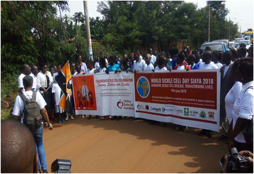 Advocacy efforts by patients and clinicians (2018: World Sickle Cell Day).