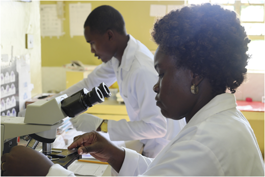 Staff are now being trained in morphology.