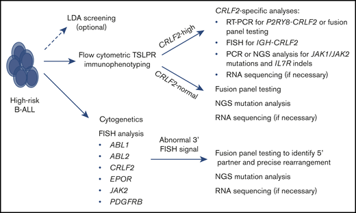 Recommended clinical testing algorithm for identification of patients with Ph-like ALL.