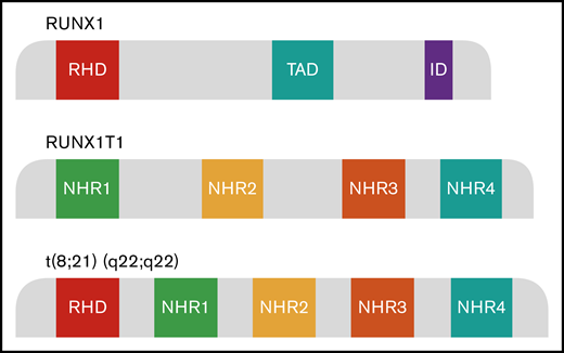 Schematic model of RUNX1, RUNX1T1, and RUNX1-RUNX1T1 domains. The translocation t(8;21)(q22;q22) generates a fusion gene consisting of the RUNX1 gene from chromosome 21 and the RUNX1T1 gene from chromosome 8. AD, activation domain; ID, inhibitory domain; RHD, runt homology domain; TAD, transactivation domain.