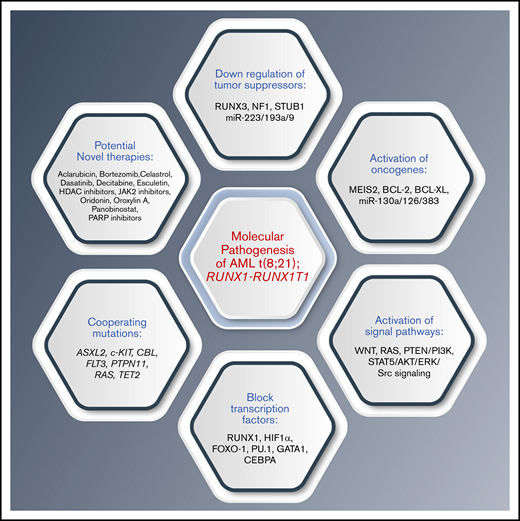 Summary of the various molecular mechanisms that may interact in the pathogenesis of AML t(8;21); RUNX1-RUNX1T1, and potential therapies. Fusion RUNX1-RUNX1T1 leads to aberrations in a number of intracellular pathways including downregulation of tumor suppressors, activation of oncogenes, abnormal activation of specific signaling pathways, and block of transcription factors, and often occurs with concurrent mutations. These may be amenable to therapeutic targeting. PARP, poly(ADP-ribose) polymerase.