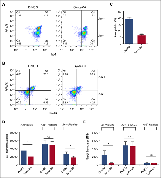 Role of SOCE in procoagulant platelet generation. To test the role of SOCE, Fluo-4– or Fluo-5N–loaded platelets were treated with the Orai1 blocker Synta-66 (10 µM), stimulated with Thr/CRP-XL in the presence of AnV-APC, and analyzed by using flow cytometry. Representative density plots are shown for Fluo-4–loaded platelets (A) or Fluo-5N–loaded platelets (B). (C) The percentage of platelets that bound AnV (***P < .001; paired Student t test). The effect of Synta-66 on Fluo-4 (D) or Fluo-5N (E) fluorescence in all platelets, AnV+, platelets and AnV– platelets. *P < .05 for dimethyl sulfoxide (DMSO) vs Synta-66–treated platelets; 2-way analysis of variance with the Šidák multiple comparison test; n = 4.