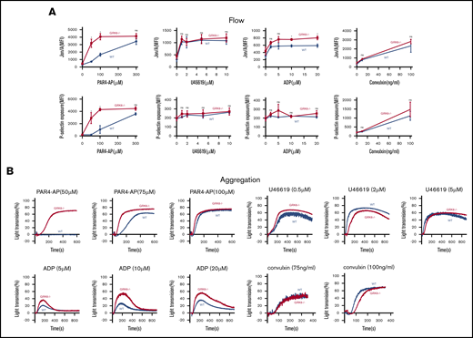 Increased integrin activation, α-granule exocytosis, and aggregation in platelets from GRK6−/−mice. (A) Platelets from GRK6−/− and littermate control mice (WT) were stained with fluorophore-conjugated antibodies to either activated αIIbβ3 (Jon/A antibody) or P-selectin and measured by flow cytometry. Platelets were stimulated with PAR4-AP, ADP, TxA2 mimetic (U46619), or convulxin (CVX) at the concentrations indicated (N = 4). (B) Platelets aggregation in response to a PAR4-AP, ADP, U46619, or CVX at the concentrations indicated (N = 4). *Significant difference (P ≤ .05). MFI, mean fluorescence intensity; ns, not significant.