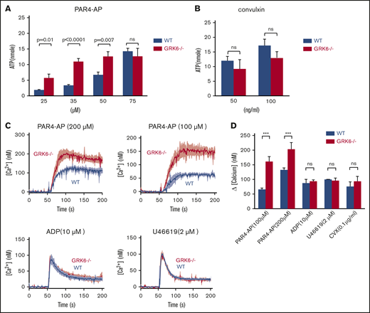 Increased ATP release and Ca2+mobilization in platelets from GRK6−/−mice. (A) ATP release for platelets stimulated with AYPGKF, or (B) CVX at the concentrations indicated (N = 3). (C) Isolated mouse platelets were suspended in Tyrode buffer without Ca2+ and loaded with fura-2 AM (10 μM). The platelets were then washed and resuspended in Tyrode buffer with no extracellular Ca2+ and 0.5 μM EGTA. Changes in fura-2 AM fluorescence were detected with a JASCO FP-8300 spectrofluorometer, exciting at 340 and 380 nm, and measuring emission at 510 nm. Platelets were stimulated with AYPGKF, ADP, U46619, or CVX at the concentrations indicated in the absence of extracellular Ca2+. Representative measurements are shown. (D) The results of 3 experiments (mean ± SEM) are summarized. ***Significant difference (P ≤ .05).