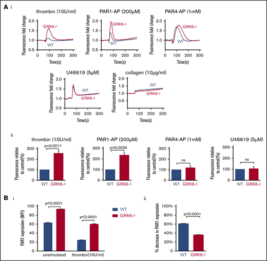 The impact of deleting GRK6 on Ca2+release in MEG-01 cells. (A) MEG-01 cells were loaded with fluo-4 AM, and the cells were stimulated with thrombin (n = 6), PAR1-AP (n = 5), PAR4-AP (n = 8), U46619 (n = 5), or collagen (n = 3), and changes of Ca2+ were recorded. (Ai) The representative trace of Ca2+ response in response to agonists. (Aii) The bar graph summarizes 3 to 8 experiments, respectively (mean ± SEM). (Bi) PAR1 surface expression in WT vs GRK6−/− MEG-01 cells in unstimulated (left) or in response to thrombin stimulation (right), and (Bii) the percentage decrease in PAR1 surface expression in WT and GRK6−/− MEG-01 cells after stimulation (N = 3). An anti-PAR1 antibody (ATAP2), which recognizes cleaved as well as intact PAR1 receptors, was used to detect PAR1 surface expression by flow cytometry.