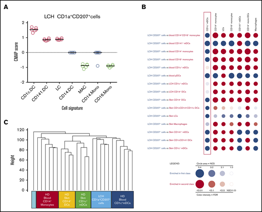 Transcriptome of LCH lesion CD1a+CD207+cells is most closely related to blood CD1c+mDCs. (A) CMAP analysis score for LCH CD1a+CD207+ DCs (n = 6) against healthy donor DCs/monocytes/macrophages after removal of tissue-specific genes. Each symbol represents an LCH lesion specimen. All samples used in the study are listed in supplemental Table 3a. A 1000 permutation test among gene signatures was performed on each enrichment score to determine the significance. CMAP scores for LCH CD1a+CD207+ DCs with all other human myeloid subsets were significant at P < .0001. The CMAP scores indicate the relative “closeness” of LCH CD1a+CD207+ DCs to myeloid subsets. LCH CD1a+CD207+ DCs show the highest CMAP scores with CD1c+ mDCs, followed by CD141+ mDCs and epidermal LCs. (B) Gene signatures of monocyte/DC/macrophage populations were used to compare with the gene-expression data set from LCH lesion CD1a+CD207+ DCs (n = 6) against the gene-expression data set from human myeloid subsets using BubbleGUM. Gene-expression profiles were obtained from FACS-sorted CD1a+CD207+ DCs from LCH lesions as well as DC/monocyte populations from healthy donor (HD) skin and peripheral blood specimens. Illumina Human HT-12 V4.0 was used for this study. All samples used in the study are listed in supplemental Table 3a. Blue bubbles represent similarity to the LCH CD1a+CD207+ transcriptome; red bubbles represent similarity to the comparison transcriptome. The bubble area corresponds to the GSEA normalized enrichment score (NES); the intensity of the color corresponds to the statistical significance of the enrichment. The larger and darker in color the bubble becomes, the more significant the enrichment of the gene signature becomes in that particular class. LCH CD1a+CD207+ DCs consistently show the highest enrichment (blue) with the CD1c+ mDC gene signature when compared with all signatures from other cell types. (C) Unsupervised cluster analysis of LCH lesion CD1a+CD207+ DCs and healthy donor blood DC/monocyte subsets demonstrates the relationship between LCH lesion CD1a+CD207+ DCs and healthy donor blood CD1c+ mDCs. Gene-expression profiles were obtained from FACS-sorted CD1a+CD207+ DCs from LCH lesions as well as DC/monocyte populations from healthy donors skin and peripheral blood specimens. Illumina Human HT-12 V4.0 was used for this study. All samples used in the study are listed in supplemental Table 3a. FDR, false discovery rate; NS, not significant.