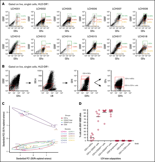 BRAFV600E+cells localize to LCH lesion CD1c+mDCs, CD1a+CD207−, CD1a+CD207low, and CD1a+CD207highsubpopulations. (A) Dot plots showing identification of 3 LCH subpopulations within HLA-DR+ and CD1a+ fractions from 12 LCH lesions: CD1a+CD207− (yellow gate), CD1a+CD207low (red gate), and CD1a+CD207high cells (green gate). (B) Flow cytometry of LCH lesion specimens with representative dot plots showing identification of 3 subpopulations within HLA-DR+, CD45+, CD207−CD1a−, and LIN− fractions from LCH lesions: CD14+ DCs, CD1c+ mDCs, and CD11c+CD1c− cells. (C) PCA of global transcriptome data from LCH lesion subpopulations (LCH lesion CD3+ lymphocytes, CD1a+CD207− cells, CD1a+CD207low cells and CD1a+CD207high cells) demonstrates clustering of all the CD1a+ populations and also clustering of the CD3+ populations. All samples used in the study are listed in supplemental Table 3a. (D) Lesions from LCH patients (N = 8) (supplemental Table 3b) were FACS-purified according to gating strategies shown in Figure 3A-B and supplemental Figure 4. Genomic DNA was extracted and amplified, and then the BRAFV600E allele was quantified by quantitative PCR (qPCR) as described in Berres et al.3BRAFV600E was highly enriched in all CD1a+ populations, and was also detected in CD1c+ mDCs, but not in other LCH lesion populations. Technical duplicates were used in this experiment. CD207 and CD1a expression in LCH lesion subpopulations was further determined and shown in supplemental Figure 3. PC1, first principal component; PC2, second principal component.