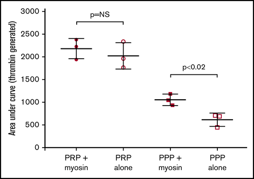 Myosin enhances thrombin generation in the absence of platelets. Thrombin generation was performed for platelet-rich plasma (PRP) and platelet-poor plasma (PPP), with or without the addition of 200 nM myosin. All samples had tissue factor added to initiate thrombin generation. The graph shows total thrombin generated (area under the curve). No difference was seen for PRP, but addition of myosin increased thrombin generation for PPP. Error bars denote 1 SD. N ≥ 3 for each experiment. NS, not significant.