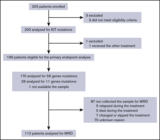 CONSORT flow diagram. The primary end point, relapse-free survival, was evaluated in 199 eligible patients. Prognostic analysis of MRD was performed on 112 patients whose samples were collected.