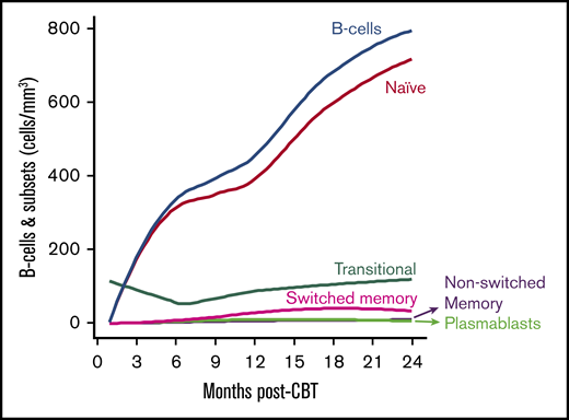 Recovery of B cells and subsets in adult CBT recipients. Curves are Loess-smoothed averages. Loess-smoothed curves for total B-cell counts are based on values from the time points of which the extended immunophenotyping panel was also performed.