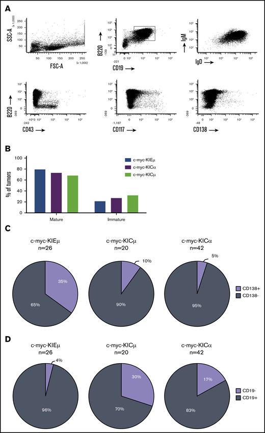 B-cell lymphoma phenotypes in IgH-c-myc transgenic mice. (A) A typical flow cytometry analysis for B-cell lymphoma phenotyping. One representative experiment for a B220+CD19+IgM+IgD+CD43−CD117−CD138− B-cell lymphoma is shown. (B) Percentage of mature (IgM+IgD+) and immature (IgM+/−IgD−) B-cell lymphomas (24 c-myc-KIEμ, 19 c-myc-KICμ, and 37 c-myc-KICα mice). (C) Percentages of CD138+ mature B-cell lymphomas in c-myc-KIEμ, c-myc-KICμ, and c-myc-KICα mice. The number (n) of mice for each group is indicated. (D) Percentages of CD19− mature B-cell lymphomas in c-myc-KIEμ, c-myc-KICμ, and c-myc-KICα mice. Same mice as in panel C.