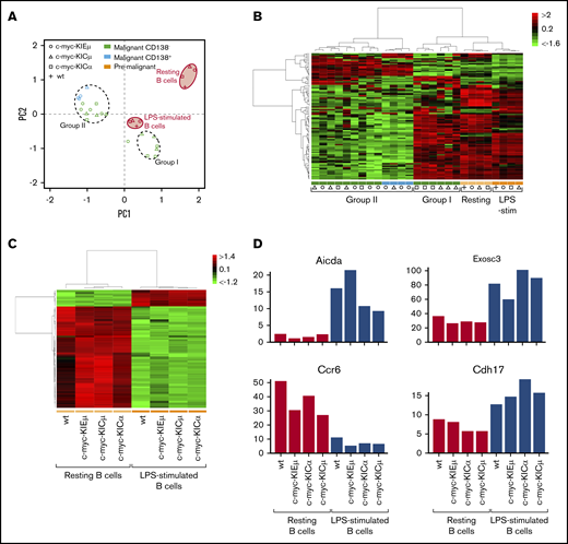 RNAseq analysis of splenic B cells and B-cell lymphomas. (A) PCA of RNAseq gene expression data from 1 wt splenic B-cell sample (stimulated or not with LPS), 3 premalignant B-cell samples (stimulated or not with LPS) and 20 tumor samples. Each wt and premalignant B-cell sample is pooled mRNA from 4 different mice. Same mice for LPS-stimulated and unstimulated B cells. Premalignant splenic B-cell samples were from c-myc-KIEμ, c-myc-KICμ, and c-myc-KICα mice. (B) Heat map of the 100 most variable gene expressions across all samples; hierarchical clustering of genes per sample according to Pearson’s correlation metric and Ward’s method. Same symbols, colors, and group definitions as in panel A. (C) Heat map of 100 most variable gene expressions across the wt and premalignant B-cell samples only; hierarchical clustering of genes per sample according to Pearson’s correlation metric and Ward’s method. (D) Expression of 4 representative genes (drawn from GO:0002312 “B-cell activation involved in immune response”) in wt and premalignant samples. AICDA, gene for the AID protein implicated in Ig somatic hypermutation and CSR; CDH17, a member of the cadherin superfamily; CCR6, the MIP-3α receptor; EXOSC3, subunit of the RNA exosome.