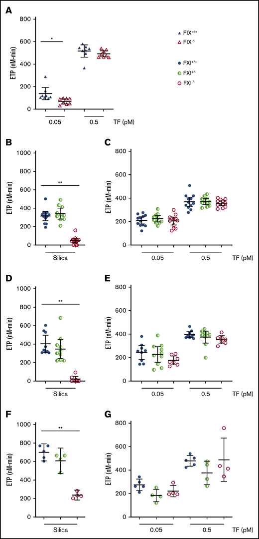 Effect of deficiency of FIX or FXI on thrombin generation in murine plasma. (A) Thrombin generation in murine FIX-deficient PPP was initiated with low and high concentrations of hTF. Thrombin generation in mFXI-deficient PPP collected in the absence of CTI was initiated with silica (B) or low and high doses of hTF (C). Thrombin generation in mFXI-deficient PPP collected in the presence of CTI was initiated with silica (D) or low and high doses of hTF (E). Thrombin generation in mFXI-deficient PRP collected in the presence of CTI was initiated with silica (F) or low and high doses of hTF (G). Data are presented as individual values with means ± 95% confidence intervals. *P < .05, 2-way analysis of variance with post hoc Bonferroni test (FIX+/+ vs FIX−/−); **P < .001, 1-way analysis of variance with post hoc Bonferroni test (FXI+/+ and FXI+/− vs FXI−/−).